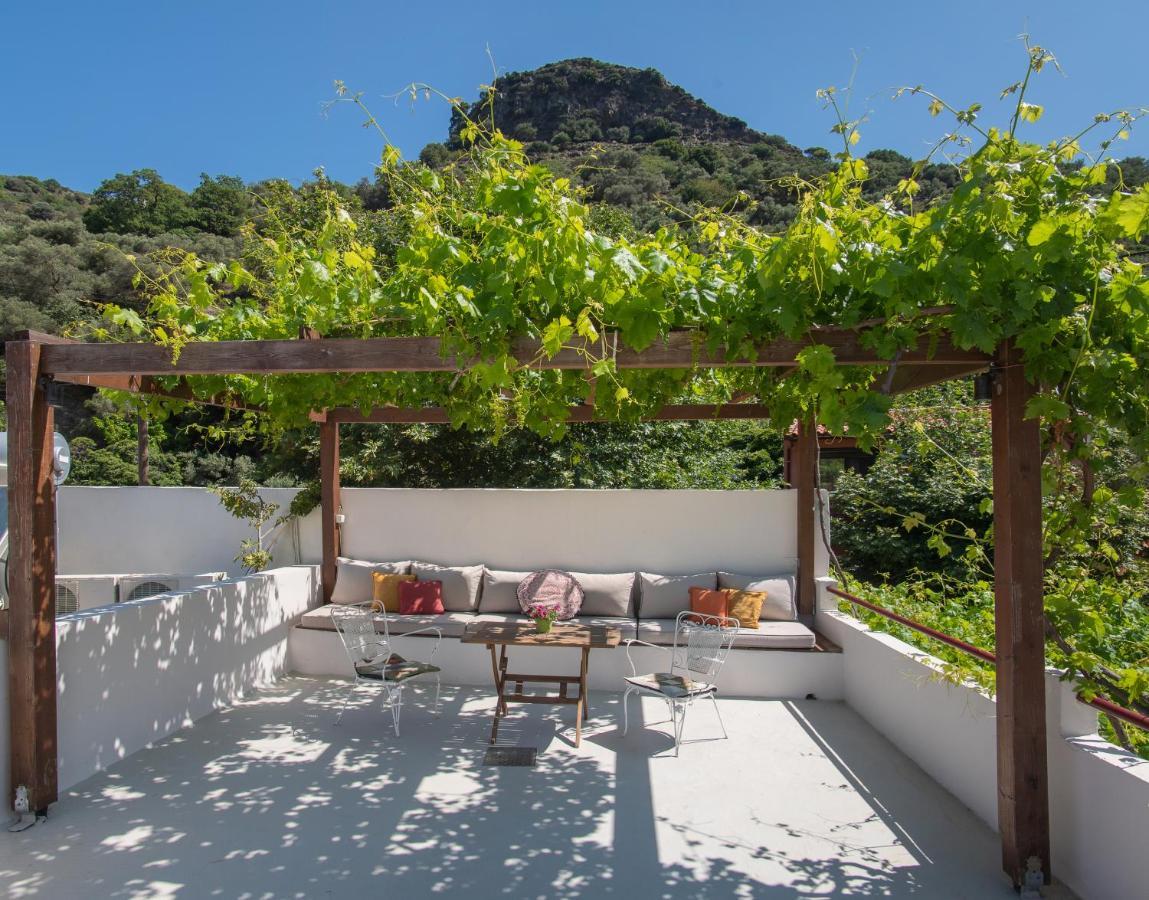 Feneri 3 -Cozy Rustic Apt 20' From Elafonisi Beach Perivolia  Exteriér fotografie